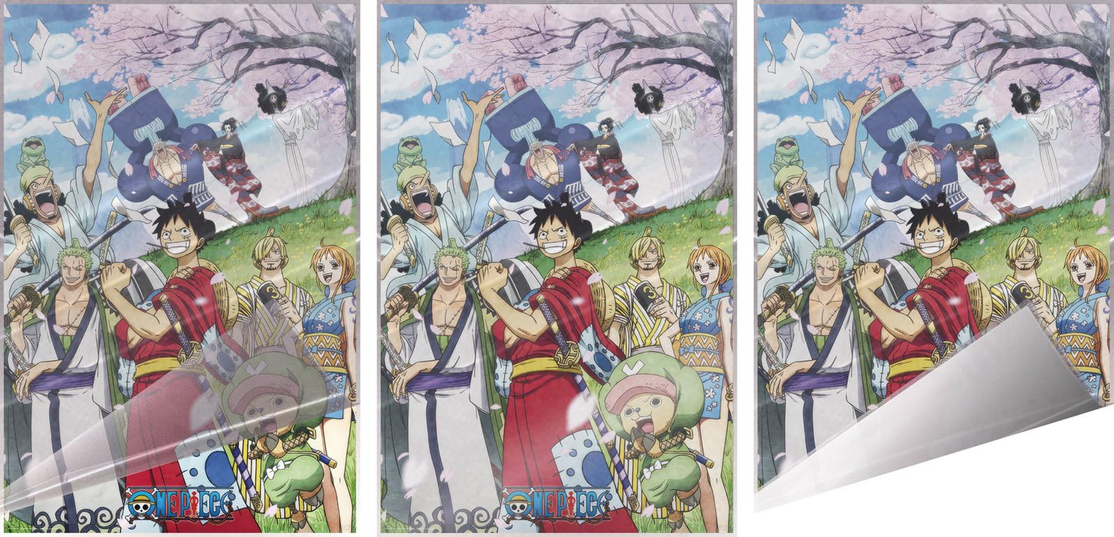 Amazon.com: One Piece - Anime TV Poster (Wano) (Size: 24